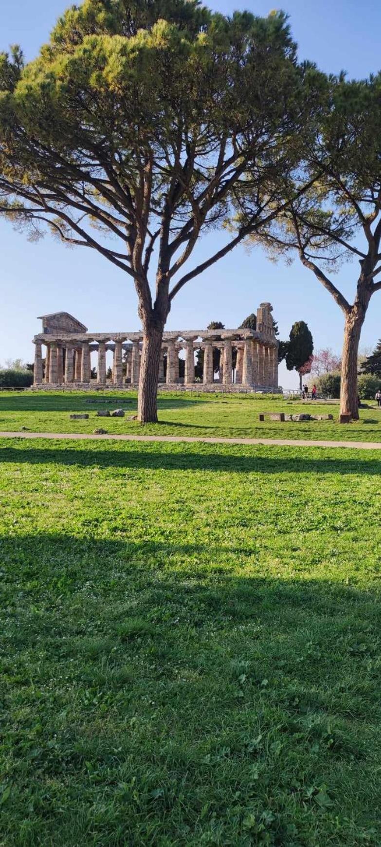 Bed and Breakfast Le Colline Di Paestum Capaccio Zewnętrze zdjęcie